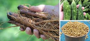 9-Natural-Remedies-That-People-With-Diabetes-Will-Find-Cover-0.000