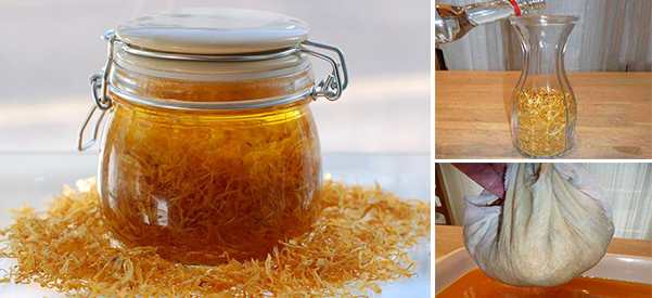 How To Make a Powerful Calendula Extract to Keep in Your Medicine Cabinet