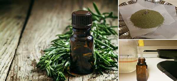 How To Make Tea Tree Oil To Treat Infections