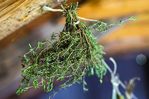 How To Properly Dry Plants For Medicine