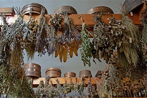 How To Properly Dry Plants For Medicine