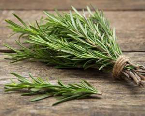 DIY Rosemary Memory Elixir - The Lost Herbs