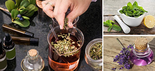 5 Calming Herbs to Soothe Anxiety
