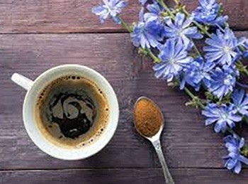 10 Natural Remedies You Can Only Make This Fall Chicory Coffee