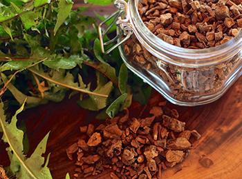 10 Natural Remedies You Can Only Make This Fall Dandelion Root 