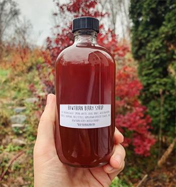10 Natural Remedies You Can Only Make This Fall Hawthron Syrup
