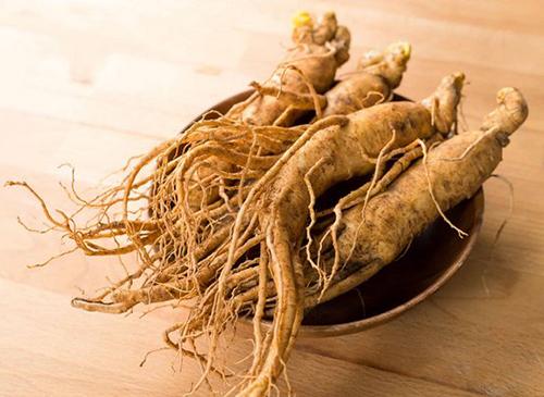 3 Fat Burning Plants You Aren't Eating Right Now Ginseng Root