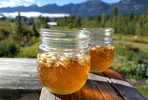 Dandelion Root Infused Honey for Immunity Jar