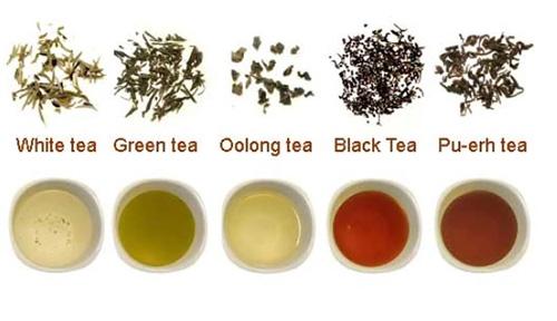 20 Slimming Teas