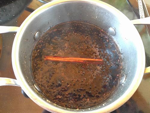 Elderberry Syrup with Echinacea and Goldenseal - Step 2
