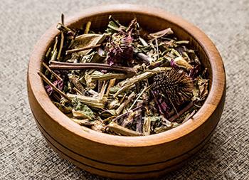 Elderberry Syrup with Echinacea and Goldenseal - Echinacea