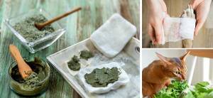 Herbal Remedies for pets - Cover