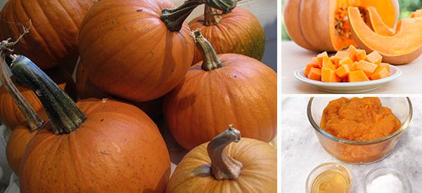 Homemade Remedies Using Leftover Pumpkins - Cover 2