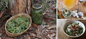 How to Make An Anti-Imflammatory Herbal Jar (Pickled Purslane)