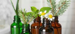 The complete list of essential oil substitutes - Cover 2