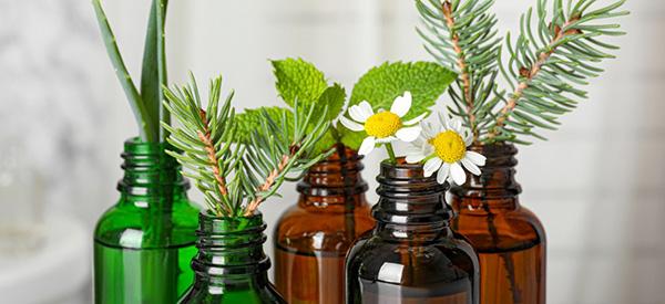 The complete list of essential oil substitutes - Cover 2