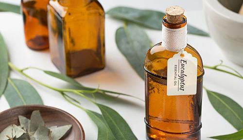 The complete list of essential oil substitutes - Eucalyptus