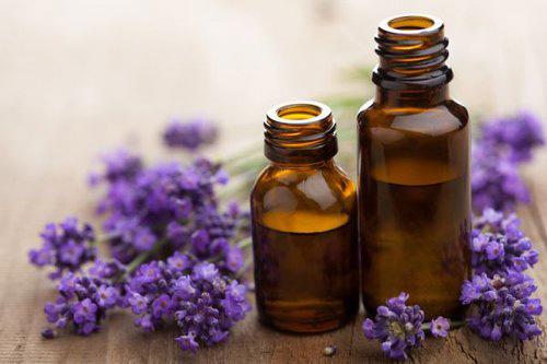 The complete list of essential oil substitutes - Lavender