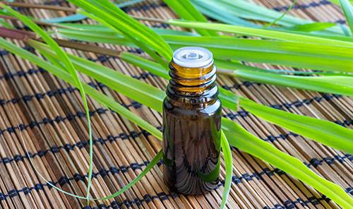 The complete list of essential oil substitutes - Lemongrass