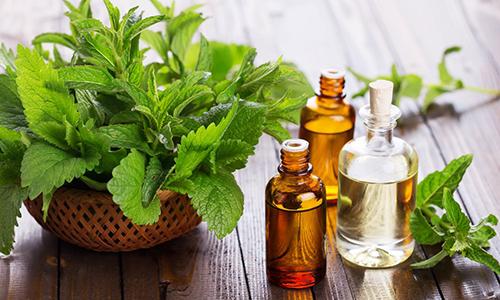 The complete list of essential oil substitutes - Peppermint