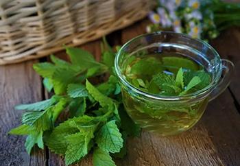46 Best Teas for Every Ailment - Lemon Balm