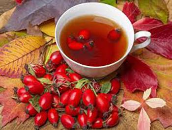 46 Best Teas for Every Ailment - Rosehip