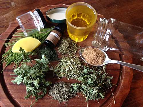 DIY Home Pain Relief Salve - Herbs 2