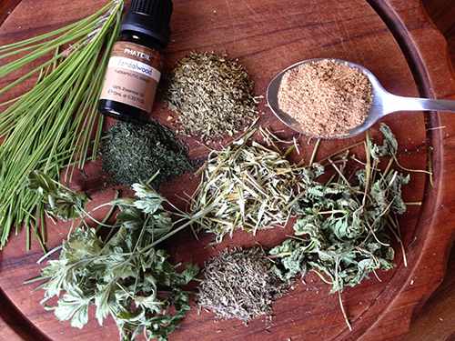DIY Home Pain Relief Salve - Herbs