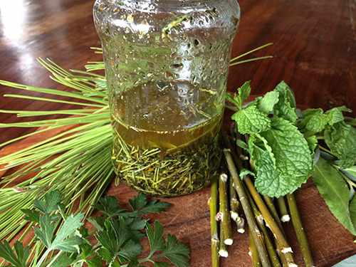 DIY Pain Relief Salve - The Lost Herbs All Articles