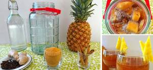 How To Make Your Own Probiotics - Template Cover