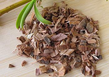 Natural Remedies with Risky Drug Interaction - Willow Bark