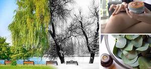 How To Reduce Pain Triggered By Weather Changes