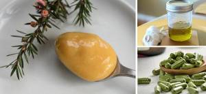 5 Herbal Antibiotcs You Can Use To Fight Infection - Cover