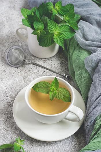 5 Winter Herbs to Cut Belly Fat - Mint