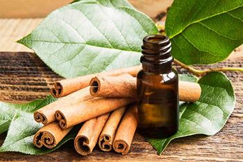 8 Best Essential Oils for Weight Loss - Cinnamon