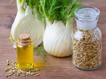 8 Best Essential Oils for Weight Loss - Fennel