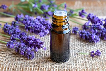 8 Best Essential Oils for Weight Loss - Lavender