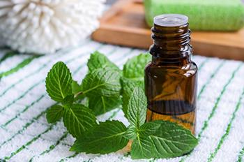 8 Best Essential Oils for Weight Loss - peppermint