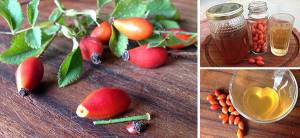 DIY Rosehip Oxymel