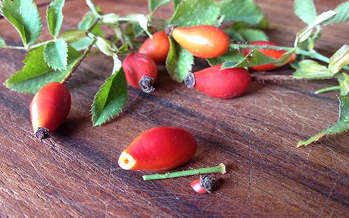 DIY Rosehip Oxymel 6