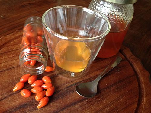 DIY Rosehip Oxymel 8