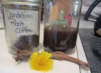 Herbal Coffee Substitutes You Can Drink Every Morning - Dandelion