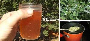 How to Make Aspirin from Willow Bark cover