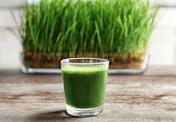 10 Natural Remedies for Toothaches -10. wheatgrass juice