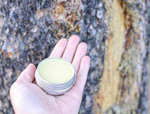 How to Make Pine Resin Salve -8