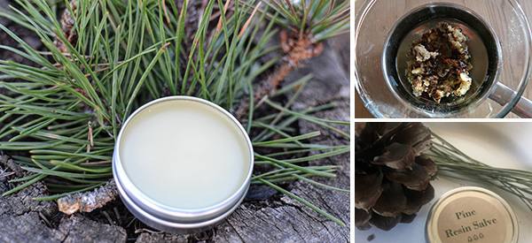 How to Make Pine Resin Salve - Cover