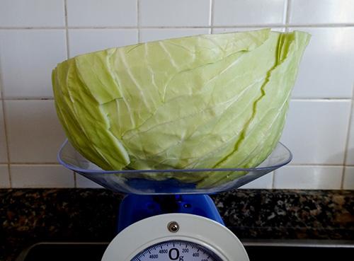 What Happens If You Eat Cabbage Every Day - Step 4