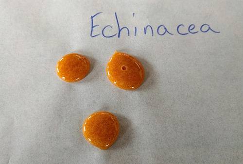 How to Make Your Own Cough Drops - Echinacea Tea 2