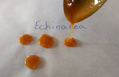How to Make Your Own Cough Drops - Echinacea
