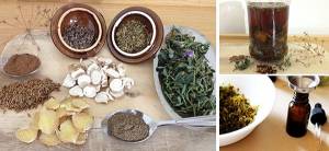 How to Make a Fat-Burning Tincture - Cover